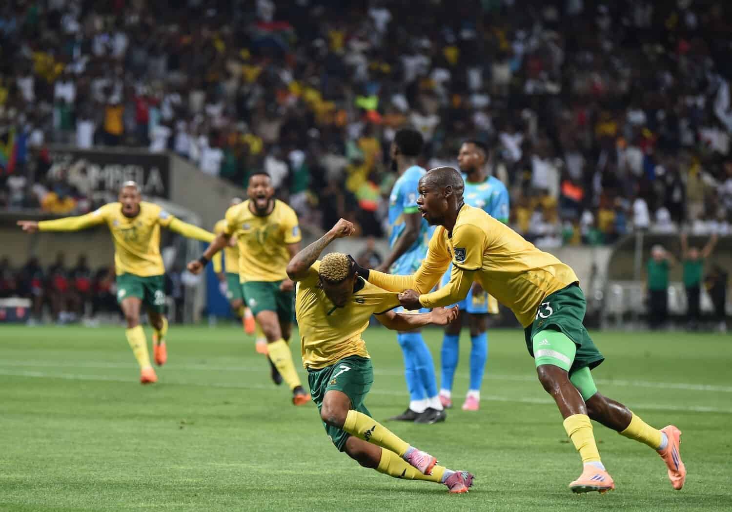 Bafana Bafana reach World Cup wonderland