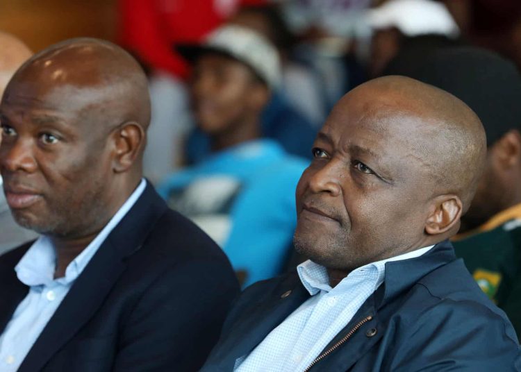 Sundowns legend sets Champions League challenge for Cardoso