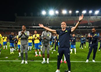 Cardoso – I Have To Confess This