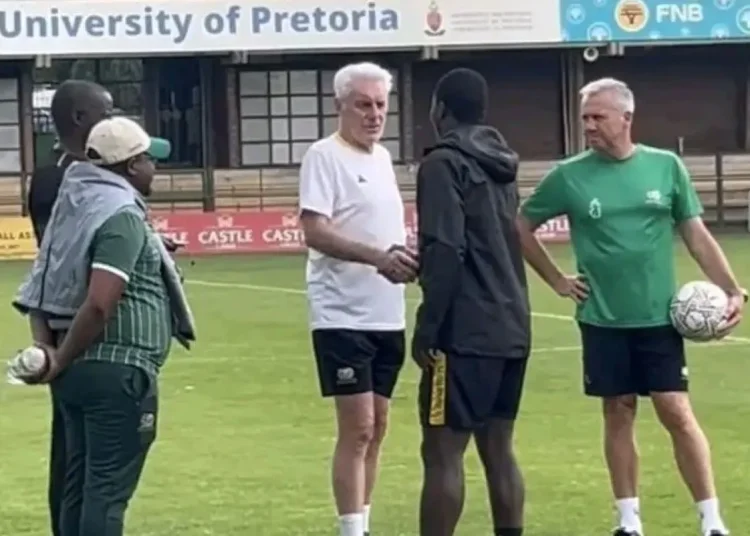 Broos slams Pirates over Mbokazi flight incident