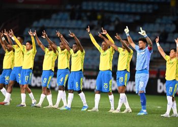 Sundowns held to unrealistic standards title run-in?
