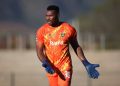 Oscarine Masuluke leads player exodus at Stellenbosch FC
