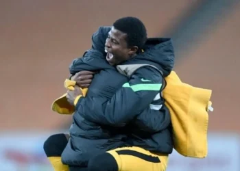 Siwelele coach wants Kaizer Chiefs duo