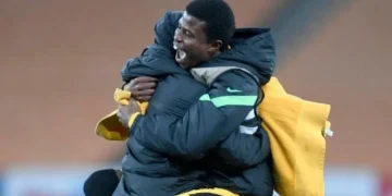 Siwelele coach wants Kaizer Chiefs duo