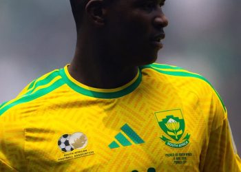 Orlando Pirates should have held on to Mbokazi at least until the World Cup for …