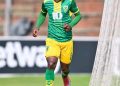 Orlando Pirates New Signings So Far: 1. Siyanda Ndlovu – 23 (FW)
2. Neo Rapoo -…
