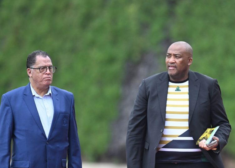 SA Sports Minister Instructs SAFA After Bafana Visa Debacle