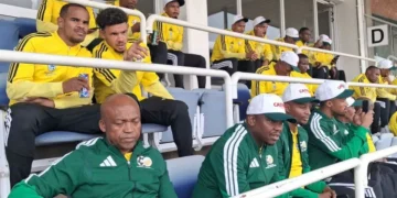 Bafana Bafana visa fallout: ‘SAFA must justify its existence’