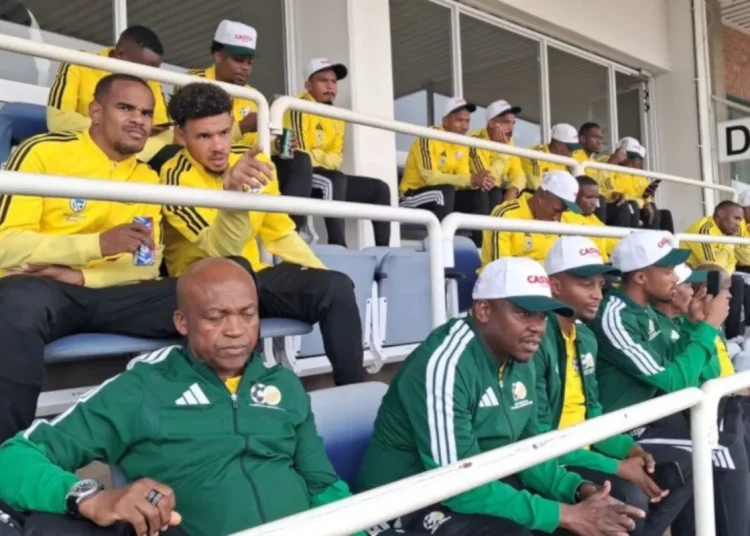 Bafana Bafana visa fallout: ‘SAFA must justify its existence’