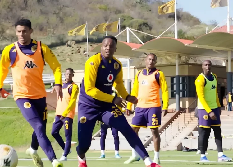 Spotted: New face at Kaizer Chiefs training