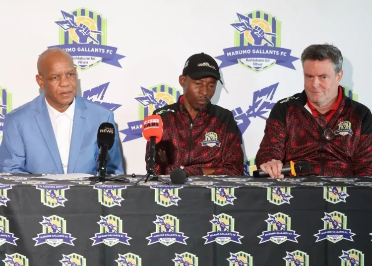 Marumo Gallants relocate to a new province