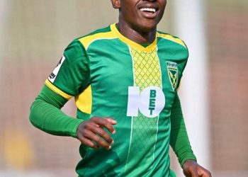 BREAKING:  Mamelodi Sundowns have completed the signing of Siyanda Ndlovu from G…
