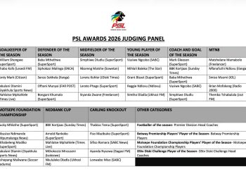 How the South African Journalists Voted in the PSL Awards