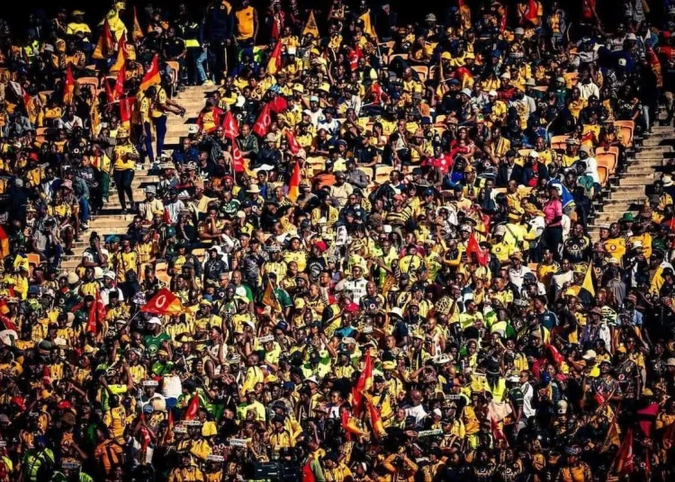 Richards Bay vs Kaizer Chiefs: LONG wait for table-toppers