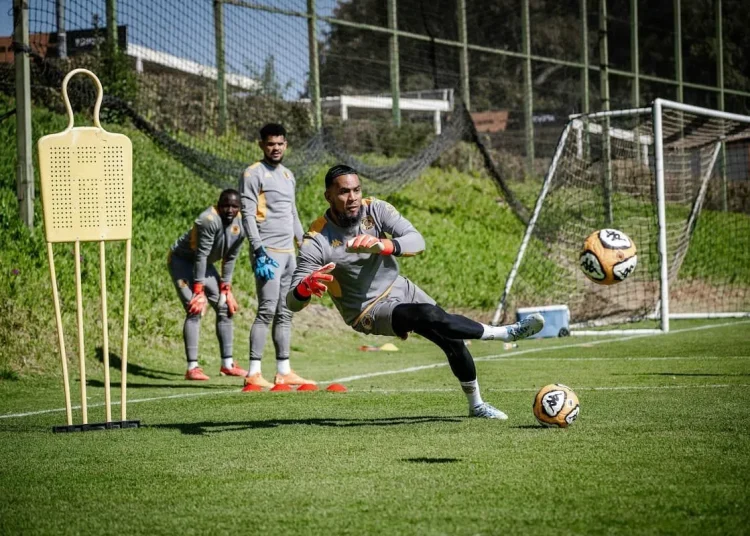 ‘He looks too relaxed’: Kaizer Chiefs legend slams Brandon Petersen