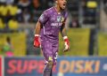 The only problem Mamelodi Sundowns has is a goalkeeping problem.  Give Goss a ch…