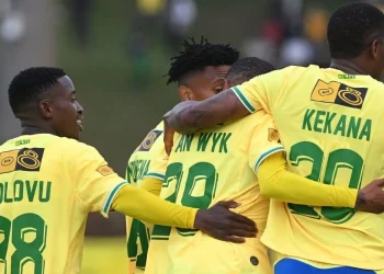 Full list: Mamelodi Sundowns’ five signings