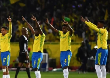 Mamelodi Sundowns make R142 million